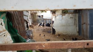 צילום: דוברות משרד המשפטים