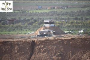 צילום: רן לוי ישראל ניוז