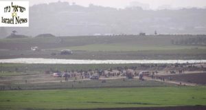 צילום: רן לוי ישראל ניוז