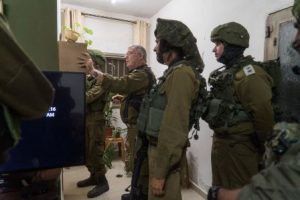 צילום: דו"צ