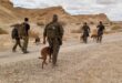 צפו: יחידת הכלבנים תרגלה עם חיל האוויר 4 ימים במדבר